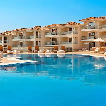 Zeus Eleva Ajul Agia Paraskevi (Kassandra)