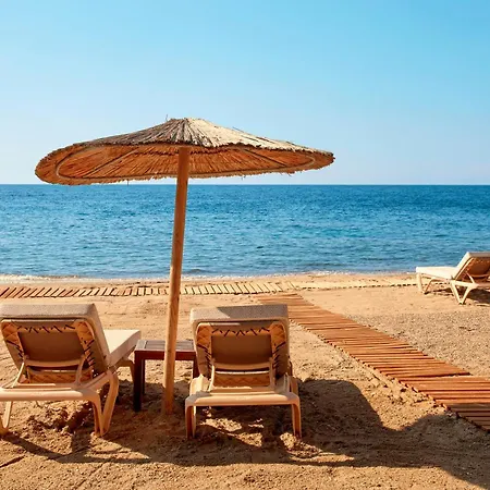 Zeus Eleva Ajul 5* Agia Paraskevi (Kassandra)