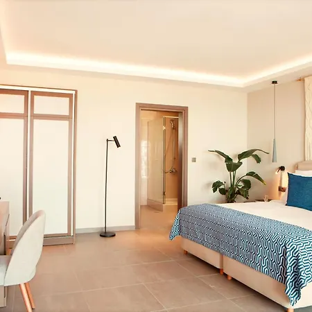 Zeus Eleva Ajul 아기아 파라스케비