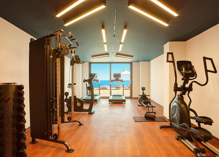 Zeus Eleva Ajul Agia Paraskevi (Kassandra)