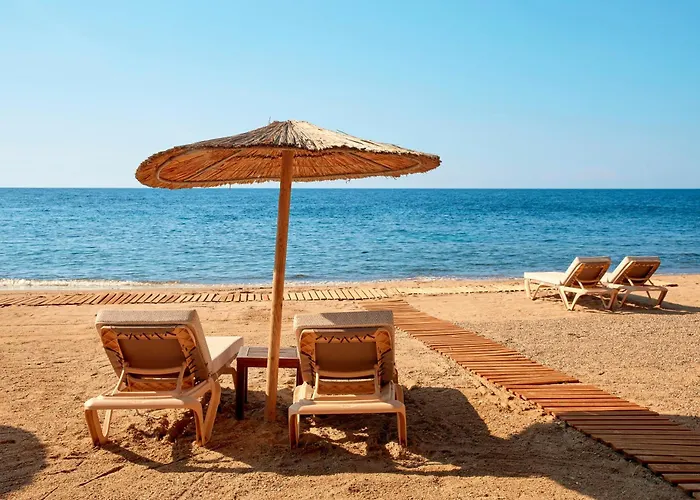 Zeus Eleva Ajul 5* Agia Paraskevi (Kassandra)